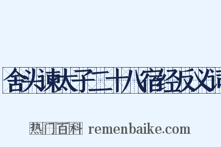 舍头谏太子二十八宿经反义词是什么意思的图片